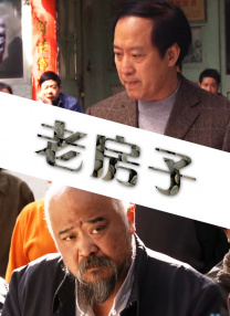 国产成人综合亚洲欧美在线n